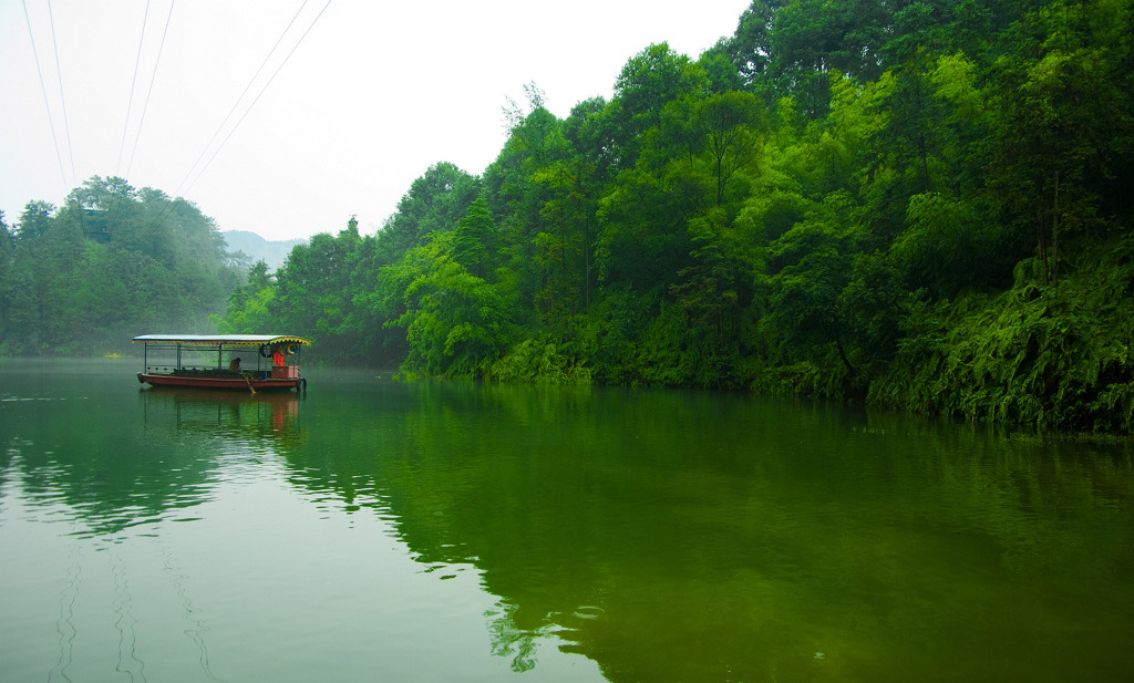 青龍湖國家森林公園-森林景觀