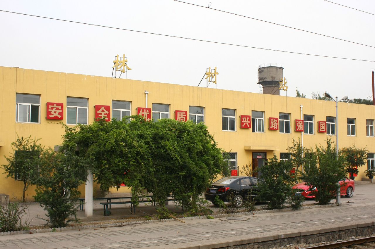 林村站(河北省林村站)