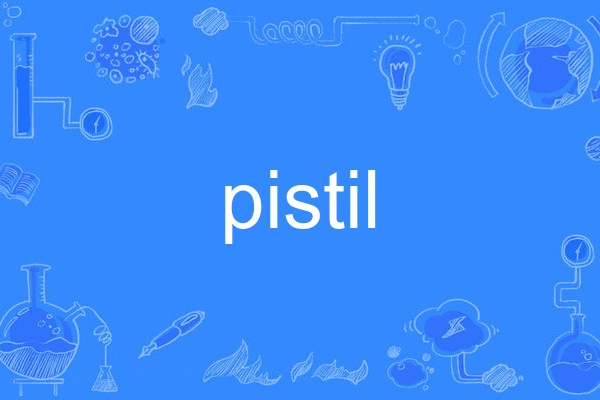 pistil pistil