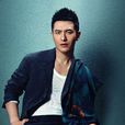 黃曉明(中國內地男演員、歌手、商人)