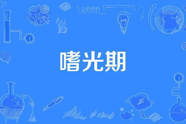嗜光期