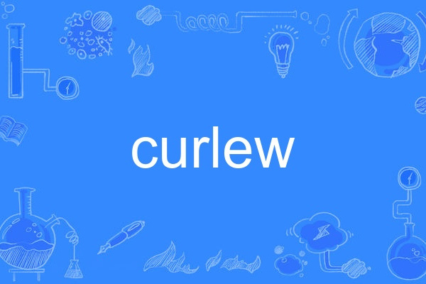 curlew curlew