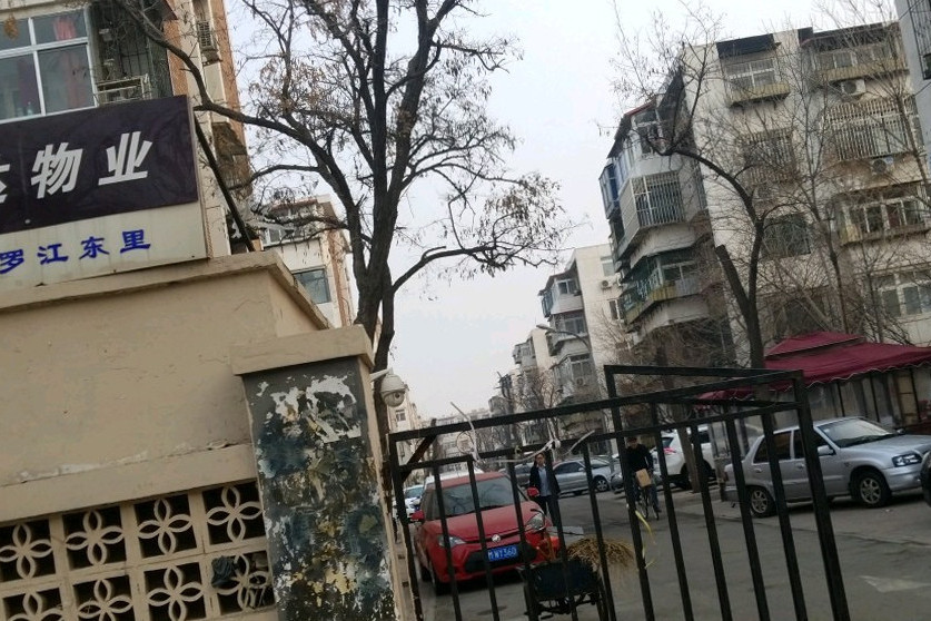 羅江東里 羅江東里