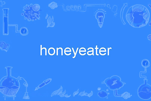 honeyeater honeyeater