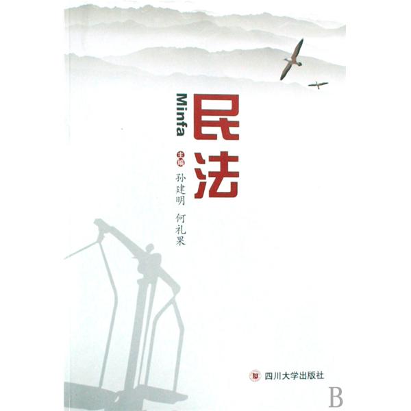 民法(中國政法大學出版的書籍)