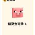 精靈寶可夢FL 精靈寶可夢FL