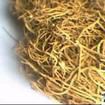 徐長卿茶 徐長卿茶
