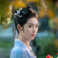 蘇棠璃(電視劇《榜上佳婿》中的角色) 蘇棠璃(電視劇《榜上佳婿》中的角色)
