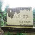 明代理學 明代理學