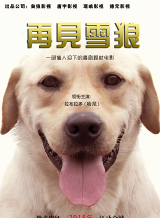 李冠志(中國內地男演員、導演、編劇、製片人)
