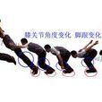 技術結構(體育) 技術結構(體育)