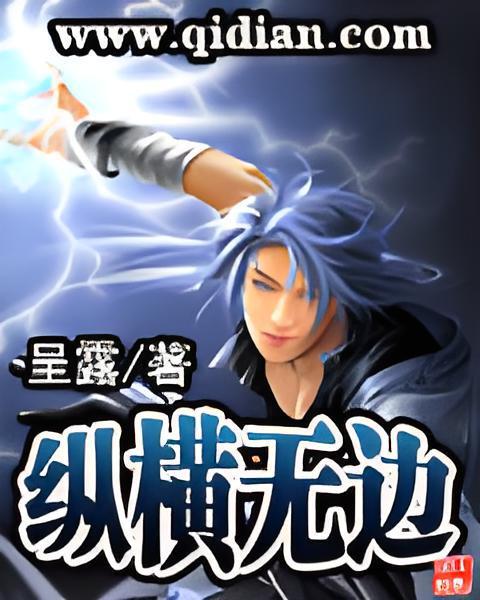 縱橫無邊(呈露創作的網路小說)