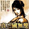 真三5.X 真三5.X
