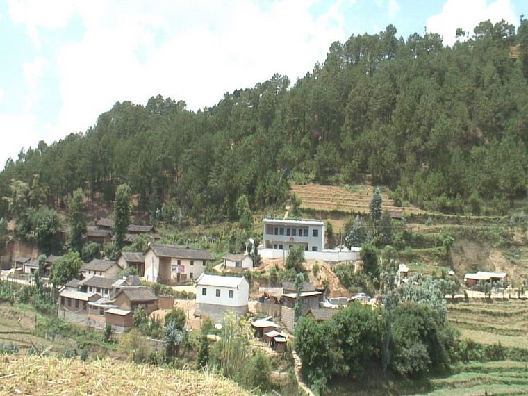 岔河街村 岔河街村