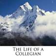 The Life of a Collegian The Life of a Collegian