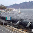 大海嘯 大海嘯