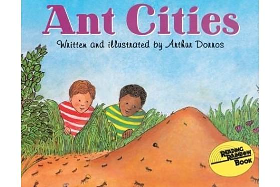 Ant Cities Ant Cities