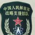 中國人民解放軍戰略支援部隊(戰略支援部隊)