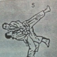 里投 里投