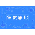 魚貫雁比 魚貫雁比