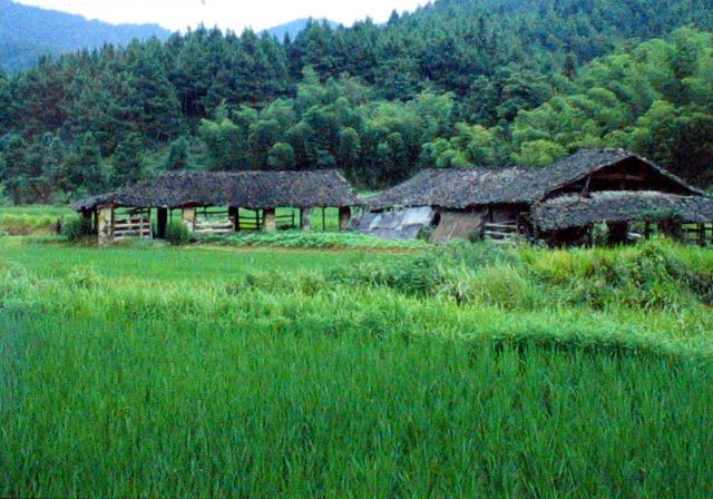 湖田