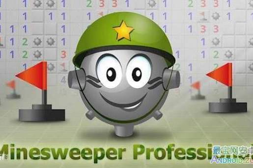 Minesweeper Professional Minesweeper Professional