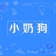 小奶狗 小奶狗