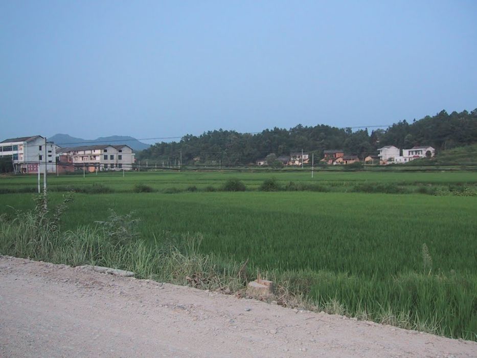 楓木橋村 楓木橋村