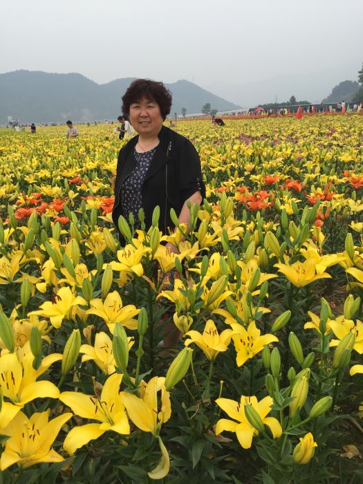 陽桂芳 陽桂芳