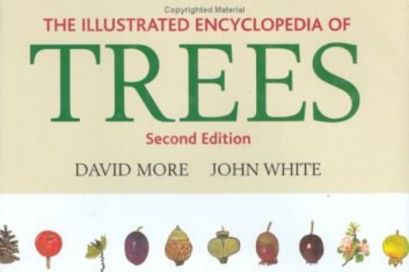 The Illustrated Encyclopedia Of Trees The Illustrated Encyclopedia Of Trees