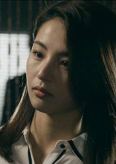 spy(韓國2015年金在中主演電視劇)