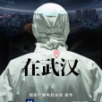 在武漢 在武漢