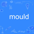 mould mould