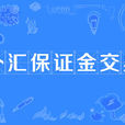外匯保證金交易(炒外匯)