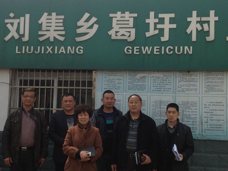 葛圩村(安徽淮南市鳳台縣劉集鄉下轄村) 葛圩村(安徽淮南市鳳台縣劉集鄉下轄村)