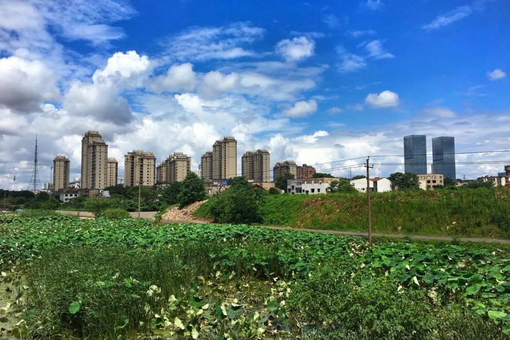 山市晴嵐 山市晴嵐