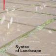 Syntax of Landscape Syntax of Landscape