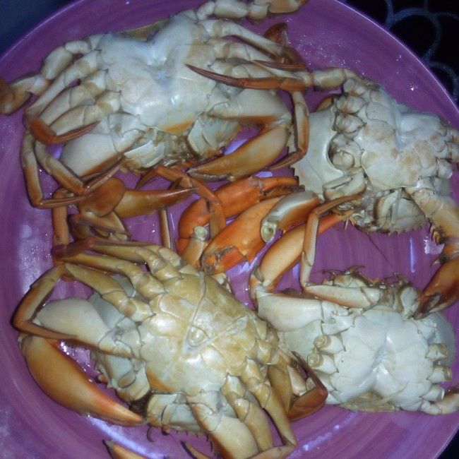 清煮大閘蟹 清煮大閘蟹