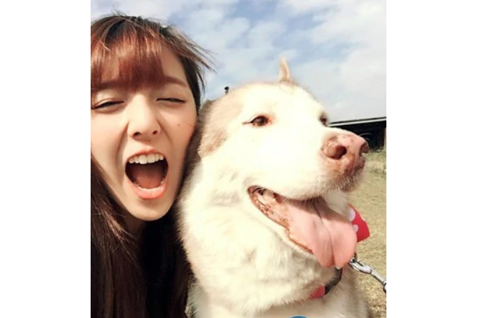 房業涵 房業涵