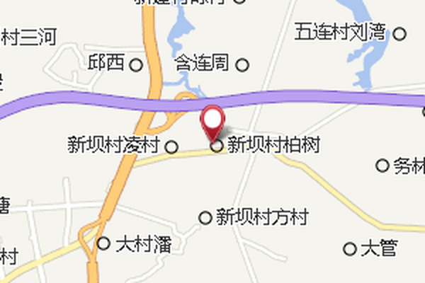 柏枝樹 柏枝樹