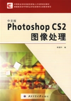 中文版PhotoshopCS2圖像處理