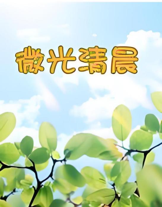 微光清晨 微光清晨