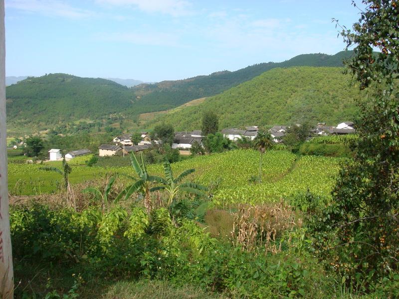 水木龍村 水木龍村