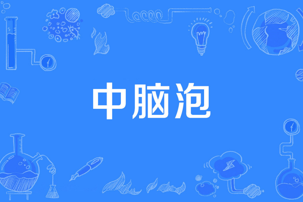 中腦泡 中腦泡