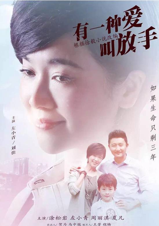 有一種愛叫放手(家年華(2015年電視劇)) 有一種愛叫放手(家年華(2015年電視劇))
