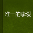 唯一的摯愛 唯一的摯愛