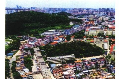 光明社區(廣東省東莞市東城街道轄社區) 光明社區(廣東省東莞市東城街道轄社區)