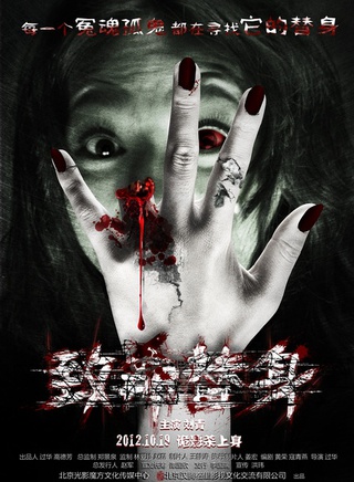 趙婷婷(著名演員) 趙婷婷(著名演員)