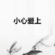 小心愛上 小心愛上