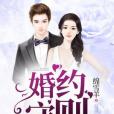婚約守則 婚約守則